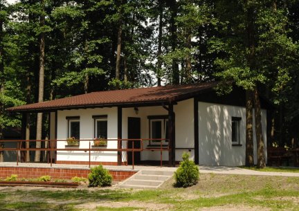 image-36